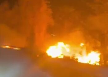 Proseguono incendi a Conflenti, Vigili del Fuoco ancora all’opera per spegnere le fiamme (video)