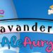 Inaugurazione AleAury lavanderia self service: nuova attività a Soveria Mannelli