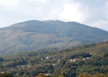Il Movimento Politico Indipendente “Movilet” interviene sulla questione incendi