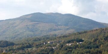 Il Movimento Politico Indipendente “Movilet” interviene sulla questione incendi