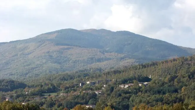 Il movimento politico indipendente Movilet interviene nuovamente sulla questione incendi