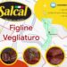 Salcal, un’azienda giovane ma già affermata nel segno dell’artigianalità e della tradizione