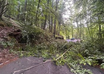 “Insieme per il paese” di Serrastretta lancia l’allarme: strade provinciali a rischio