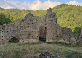 Carlopoli, cenni storici sull’Abbazia di Santa Maria di Corazzo (parte seconda)