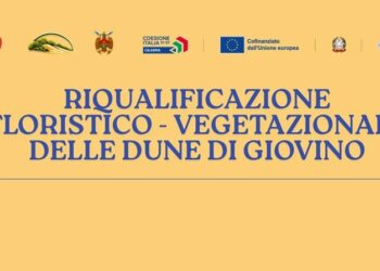 Catanzaro, incontro di Italia Nostra: Dune di Giovino, biodiversità e tutela paesaggio