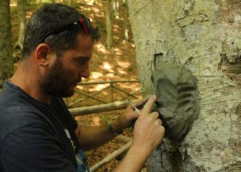 Genius Loci: a Monte Condrò, dove i faggi custodiscono l’anima