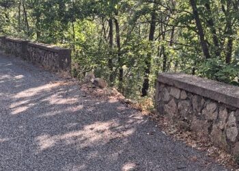 Petronà, crolla un altro muretto sulla strada provinciale 159/4