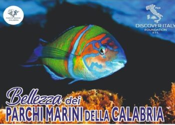 Falerna, un viaggio tra ambiente, tutela e alimentazione del patrimonio marino della Calabria