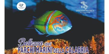 Falerna, un viaggio tra ambiente, tutela e alimentazione del patrimonio marino della Calabria