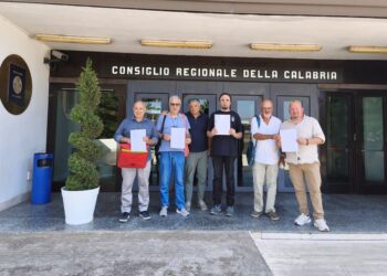 Ospedale Soveria Mannelli: 12.000 firme, le schede adesso alla Regione Calabria