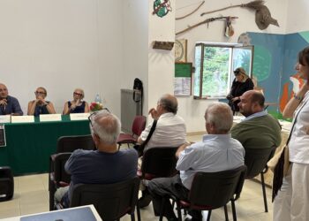 Catanzaro, i musicisti Salvatore Caroleo “senior” e “junior” omaggiati a Gagliano