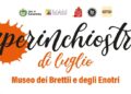 Cosenza, “POLIMORFE” si presenta ad “Aperinchiostro” l’album di Angelica Perri