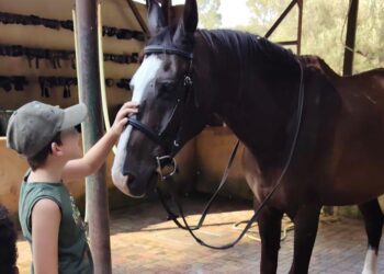 Superabilities, al via le attività di equitazione per bambini con disabilità nell’ambito del progetto Dedalo