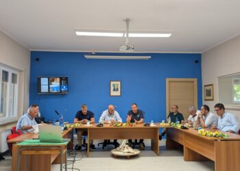 Incontro tra Ferrovie della Calabria e i sindaci del Reventino e del Savuto