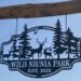 Avventura nel bosco: quando la natura incontra l’adrenalina al Wild Niunia Park.