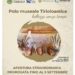 Tiriolo, il Parco Archeologico di Gianmartino proroga le visite fino al 5 settembre 2026