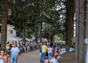 A Bocca di Piazza cala il sipario sulla 44ª Sagra della Patata: quattro giorni tra tradizione, agricoltura e futuro