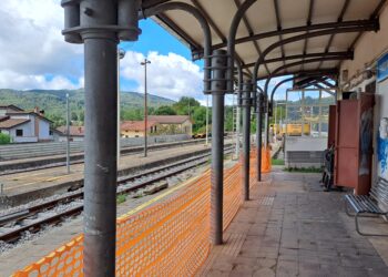 Incontro positivo tra Ferrovie della Calabria e i sindaci del Reventino-Savuto