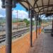 Incontro positivo tra Ferrovie della Calabria e i sindaci del Reventino-Savuto
