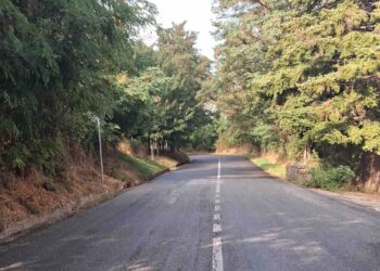 Petronà, incidente per evitare un cinghiale