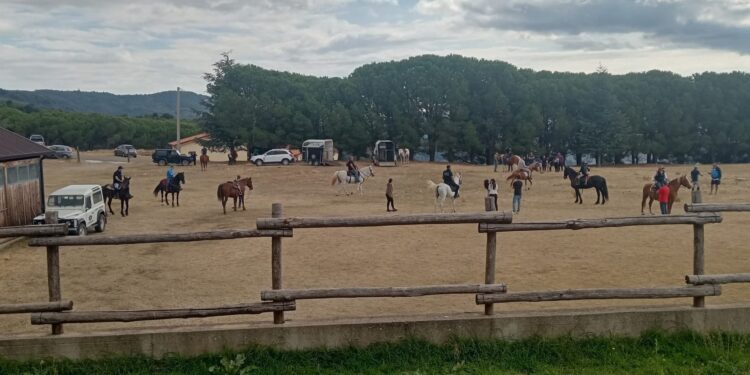 XV Raduno dei cavalli a Zagarise