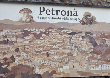 Petronà, svelato murale dello street artist Andrea Bolotta