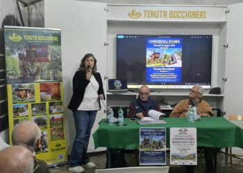 Fusioni dei Comuni, da Rogliano arriva una proposta per il futuro dei territori (link video)